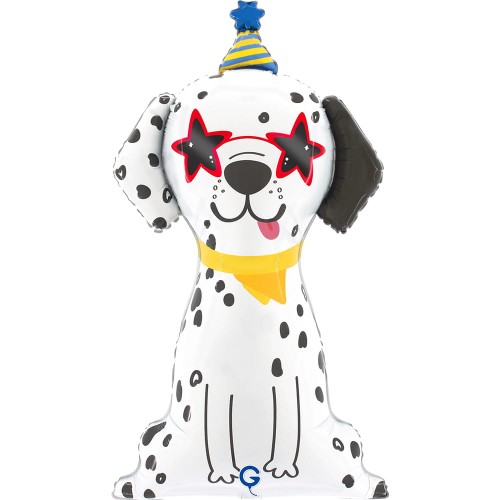 g72219-party-dog-b.jpg