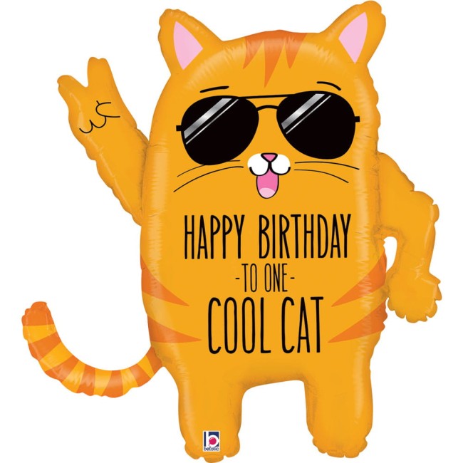 35679-cool-cat-birthday-b.jpg