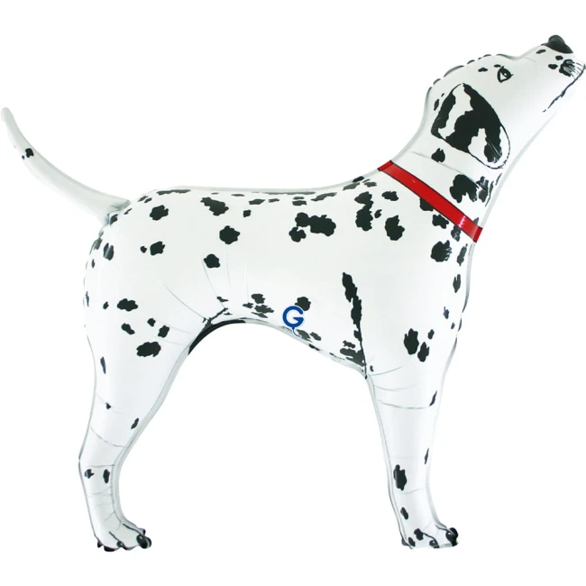 173-dalmata-bingo-b.jpg