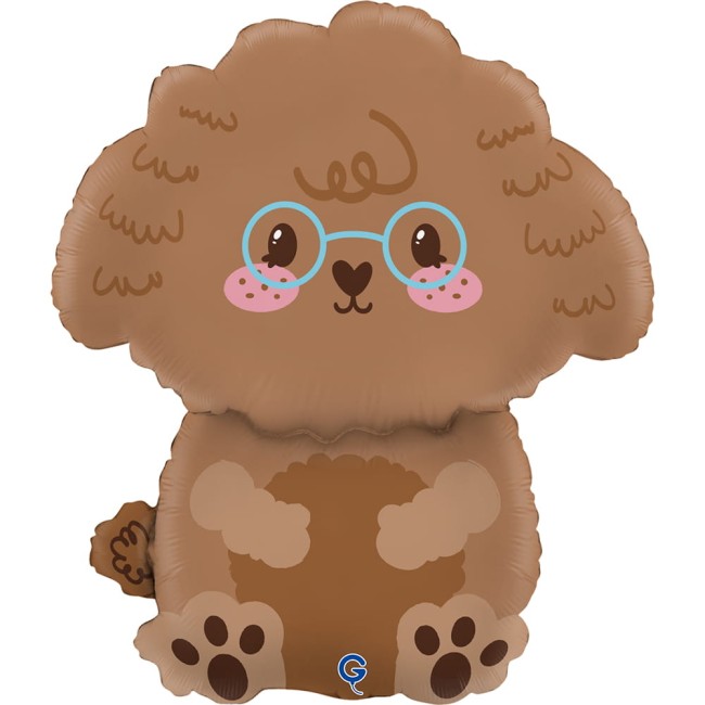 g72180-cute-toy-poodle-b.jpg